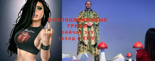 spice Надым