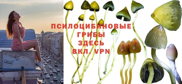 spice Надым